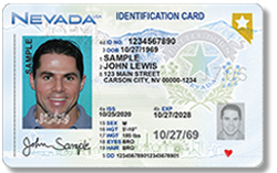 Adult Real ID