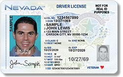 Real ID Driver License