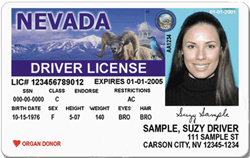 2002-2009 Design