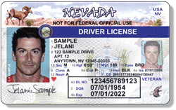 Standard License Old