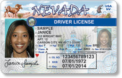 2008-2010 Design