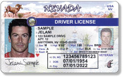 Adult Driver's License Design 14-21