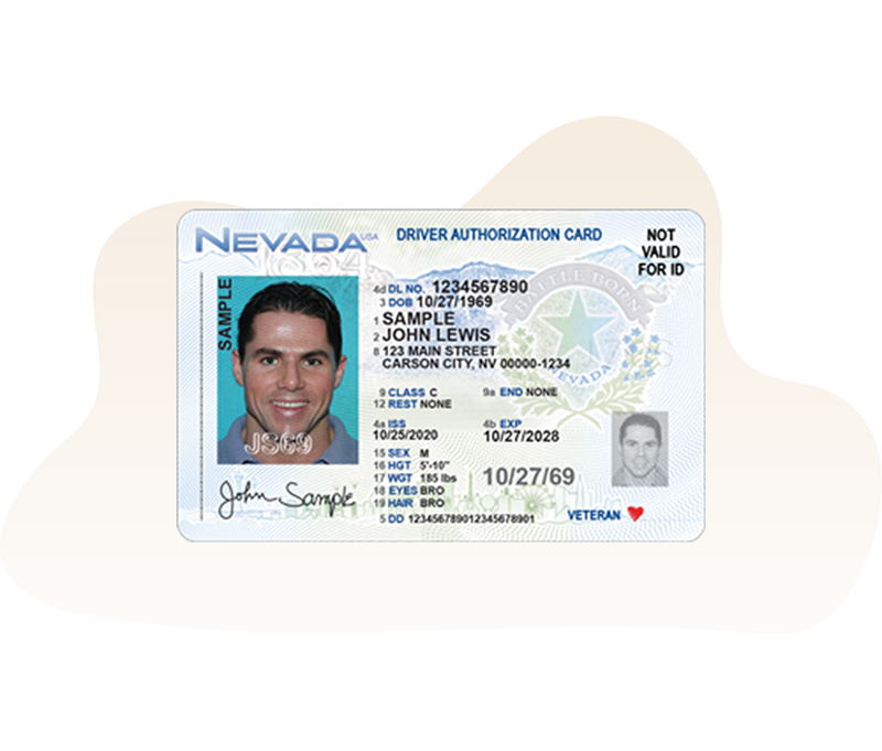 Sample iamge of an adult Driver Authorization Card