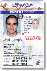 Minor Driver's License Design 14-21