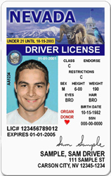 2002-2009 Minor Design