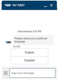 Screenshot of chatbot